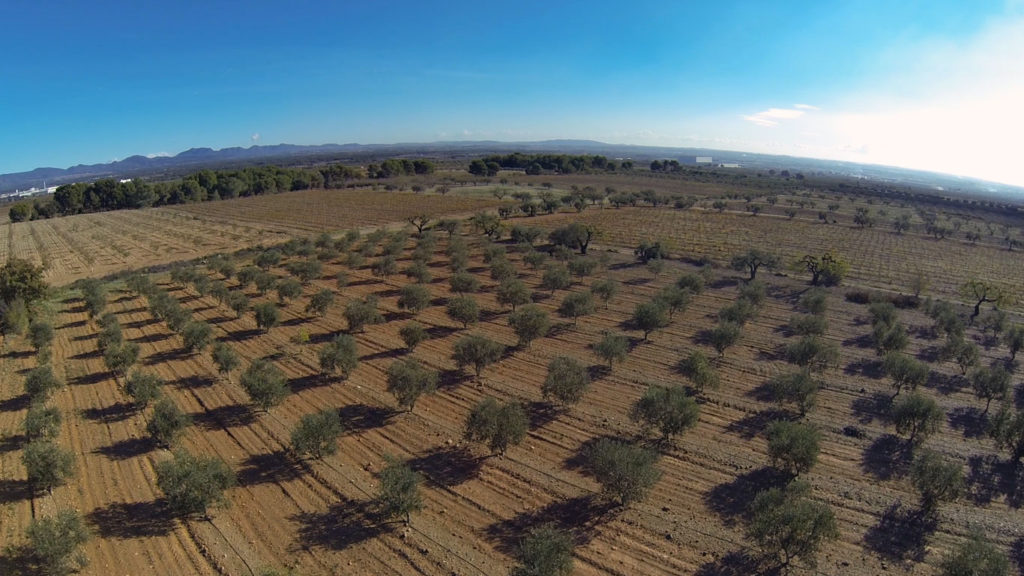 Aerial13 1024x576